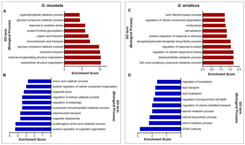 https://cdn.ncbi.nlm.nih.gov/pmc/blobs/4abc/12196249/e0a071b70be3/pathogens-14-00595-g003.jpg