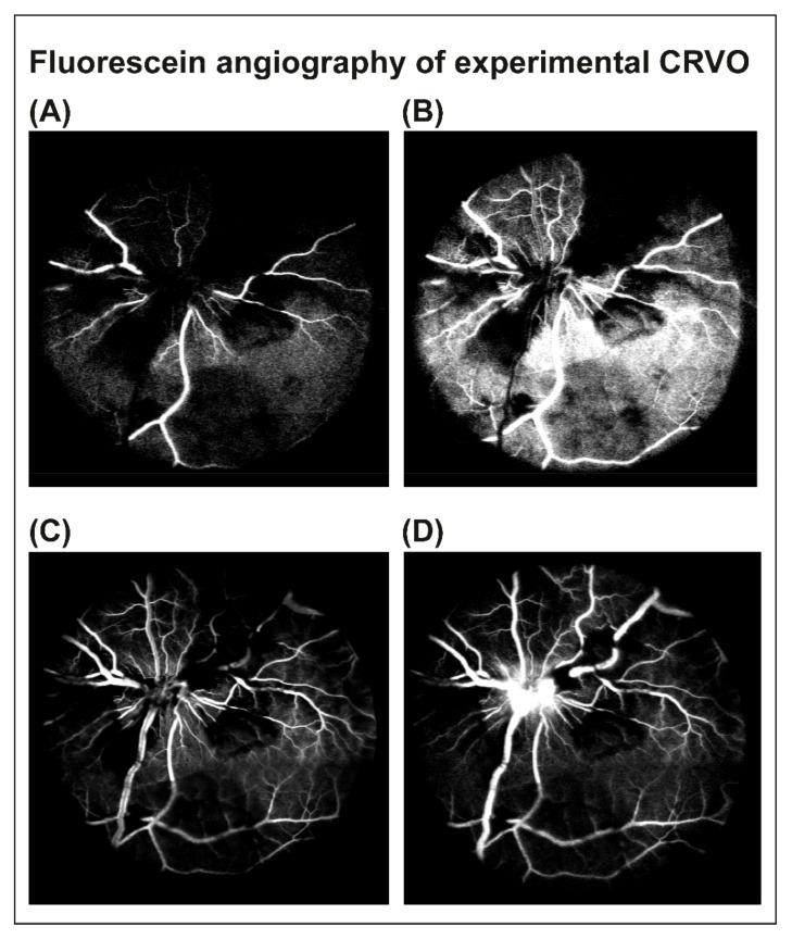 https://cdn.ncbi.nlm.nih.gov/pmc/blobs/4af3/9182497/dc4fff3ee3ad/molecules-27-03360-g002.jpg