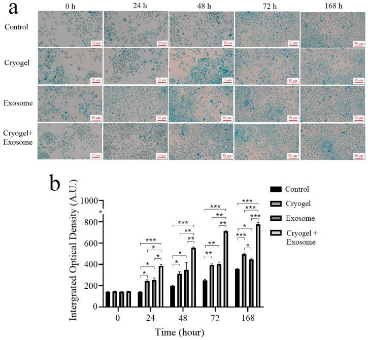 https://cdn.ncbi.nlm.nih.gov/pmc/blobs/4af4/11991529/d76e3a664007/polymers-17-00975-g012.jpg