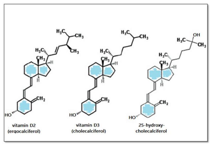 https://cdn.ncbi.nlm.nih.gov/pmc/blobs/4af5/7916166/b2399e301f8c/biomedicines-09-00172-g002.jpg