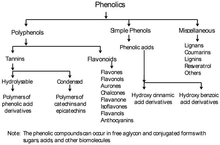 https://cdn.ncbi.nlm.nih.gov/pmc/blobs/4afd/6263261/bf118e3e0c4b/molecules-15-03135-g001.jpg