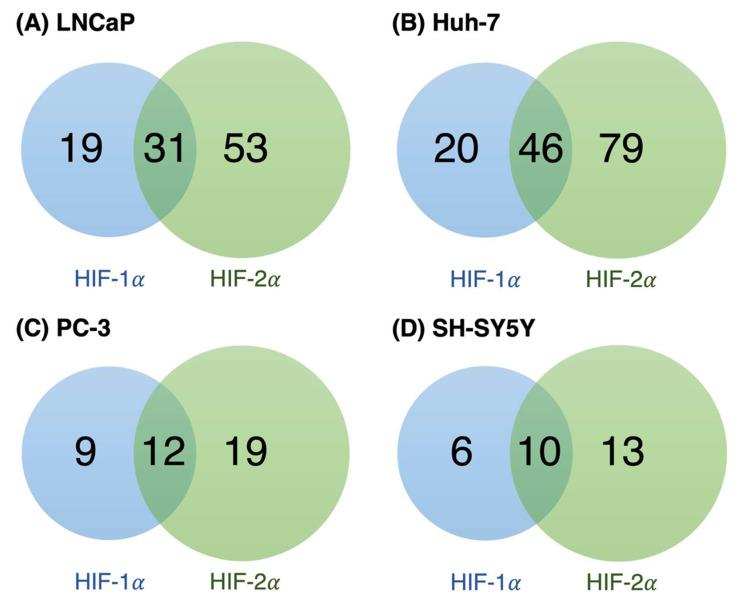 https://cdn.ncbi.nlm.nih.gov/pmc/blobs/4b01/9688152/0217f37984f1/biomolecules-12-01684-g004.jpg