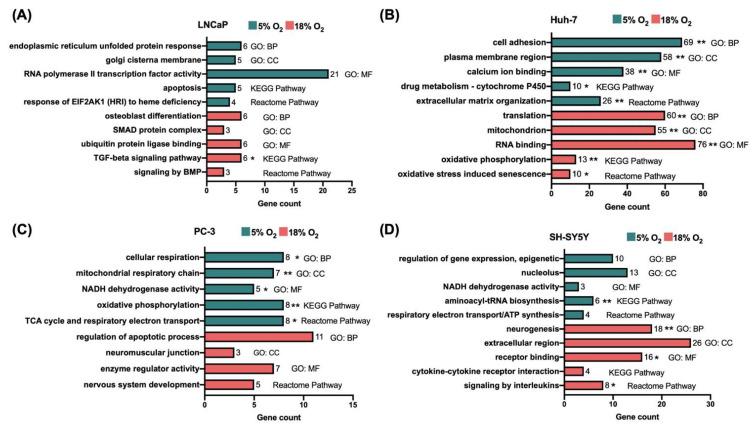 https://cdn.ncbi.nlm.nih.gov/pmc/blobs/4b01/9688152/608aef79f9a9/biomolecules-12-01684-g002.jpg