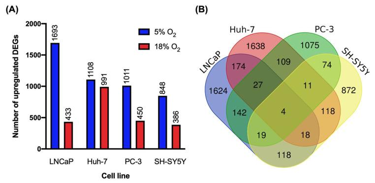 https://cdn.ncbi.nlm.nih.gov/pmc/blobs/4b01/9688152/f31185d4458e/biomolecules-12-01684-g001.jpg