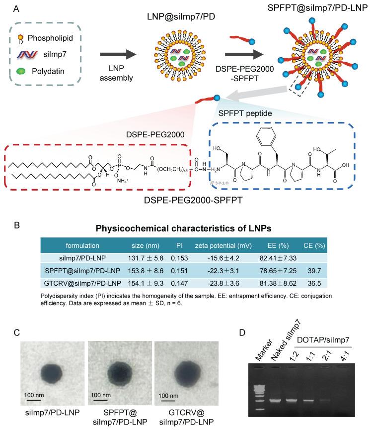 https://cdn.ncbi.nlm.nih.gov/pmc/blobs/4b11/12160035/e202f58997d3/thnov15p6534g004.jpg