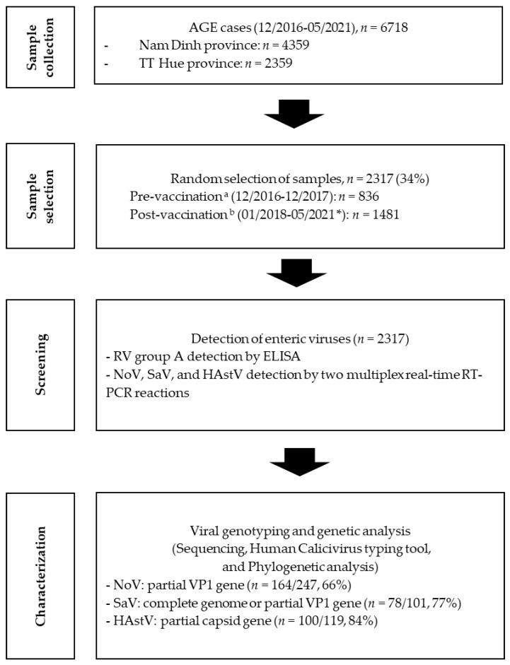 https://cdn.ncbi.nlm.nih.gov/pmc/blobs/4b4d/10675811/348bc88bfe67/viruses-15-02164-g001.jpg