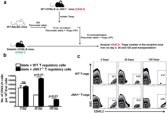 https://cdn.ncbi.nlm.nih.gov/pmc/blobs/4b58/5818514/82f89b03af55/41598_2018_21477_Fig2_HTML.jpg
