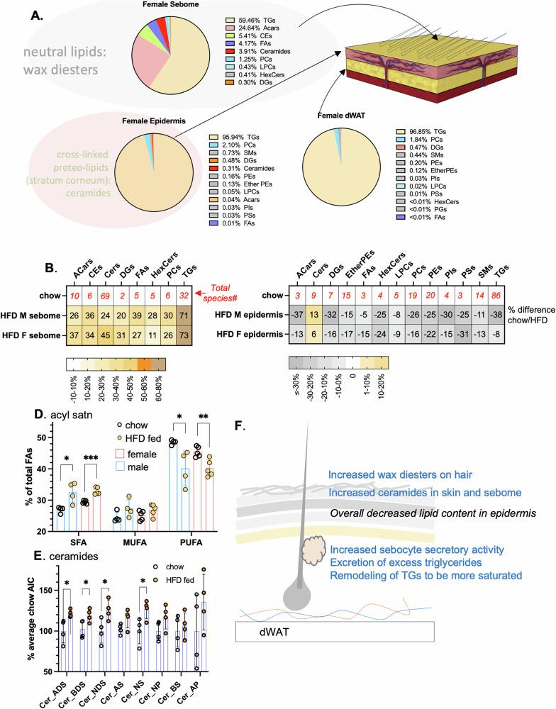 https://cdn.ncbi.nlm.nih.gov/pmc/blobs/4b59/12084621/45484d941fd1/41467_2025_59869_Fig6_HTML.jpg