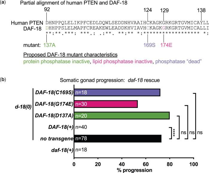 https://cdn.ncbi.nlm.nih.gov/pmc/blobs/4b76/9157151/83de388f9097/jkac093f2.jpg