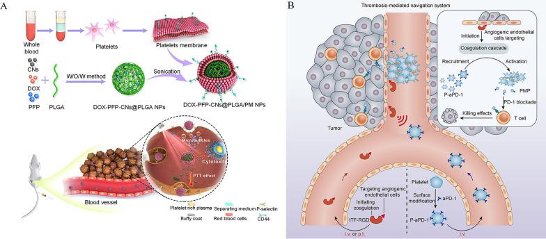 https://cdn.ncbi.nlm.nih.gov/pmc/blobs/4b79/11456251/90352a5b419f/12951_2024_2835_Fig2_HTML.jpg