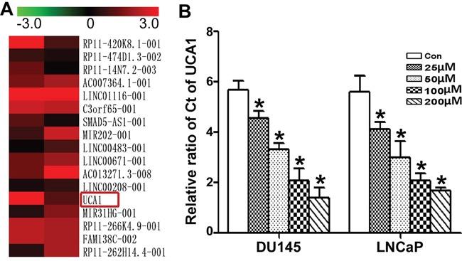 https://cdn.ncbi.nlm.nih.gov/pmc/blobs/4b82/5392325/bc2a5a6e4fb4/oncotarget-08-18260-g002.jpg
