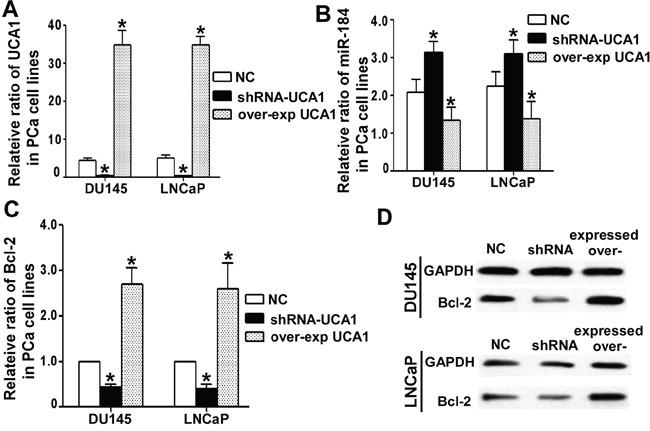 https://cdn.ncbi.nlm.nih.gov/pmc/blobs/4b82/5392325/cb4f96236622/oncotarget-08-18260-g005.jpg