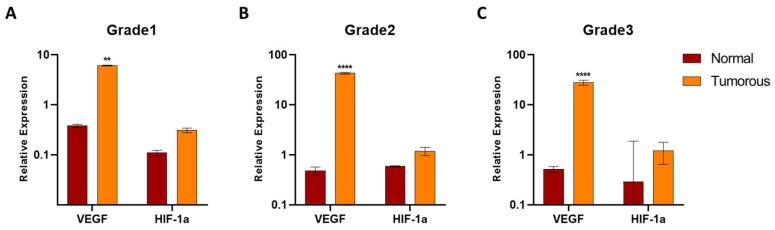 https://cdn.ncbi.nlm.nih.gov/pmc/blobs/4b8d/11274182/4031d2df2f2b/biomedicines-12-01441-g006.jpg