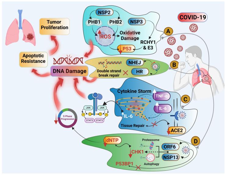 https://cdn.ncbi.nlm.nih.gov/pmc/blobs/4bb4/11728627/bb84adf97905/pathogens-13-01070-g001.jpg
