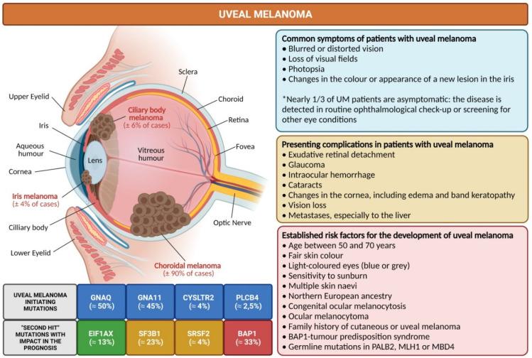 https://cdn.ncbi.nlm.nih.gov/pmc/blobs/4bf4/8749988/0a3b2f6c36f4/cancers-14-00096-g001.jpg