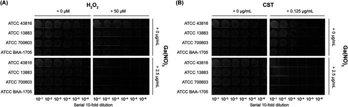 https://cdn.ncbi.nlm.nih.gov/pmc/blobs/4c0b/10434156/23ff093bdb51/spectrum.00334-23-f007.jpg