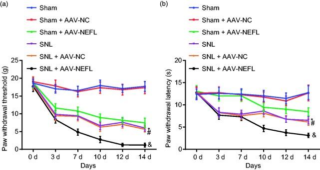 https://cdn.ncbi.nlm.nih.gov/pmc/blobs/4c4b/6537231/1bb10098a904/10.1177_1744806919842464-fig2.jpg
