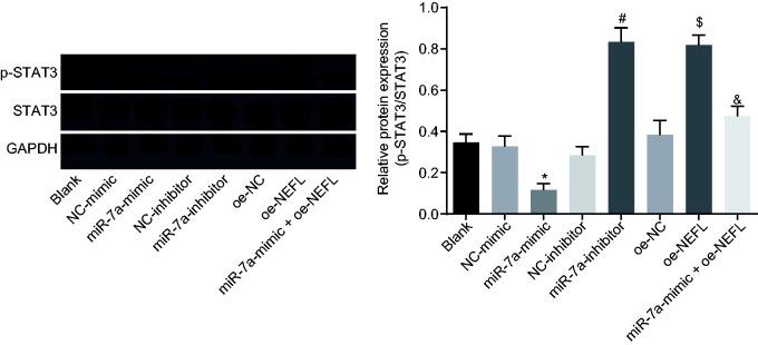 https://cdn.ncbi.nlm.nih.gov/pmc/blobs/4c4b/6537231/ca90d3860e3c/10.1177_1744806919842464-fig5.jpg