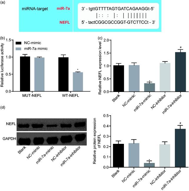 https://cdn.ncbi.nlm.nih.gov/pmc/blobs/4c4b/6537231/d99ab97f6377/10.1177_1744806919842464-fig4.jpg