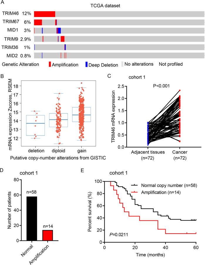 https://cdn.ncbi.nlm.nih.gov/pmc/blobs/4c52/8967906/997ef1ef362d/41419_2022_4727_Fig1_HTML.jpg