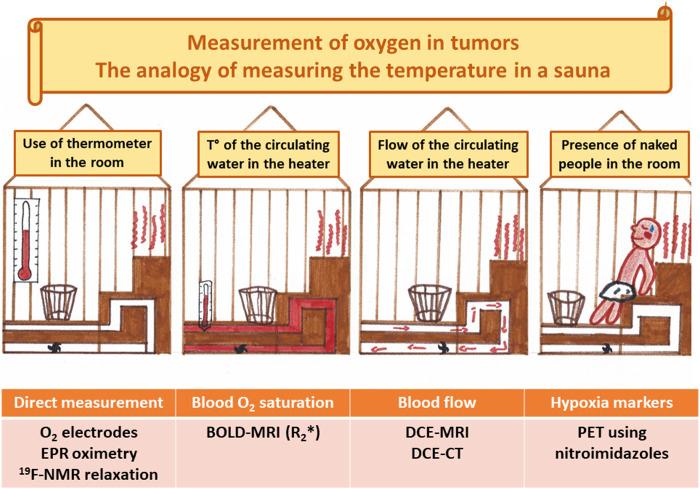 https://cdn.ncbi.nlm.nih.gov/pmc/blobs/4c57/9335493/9836efd56413/fphar-13-853568-g009.jpg