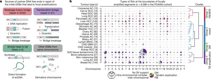 https://cdn.ncbi.nlm.nih.gov/pmc/blobs/4c59/10307628/27d2bcf02c2d/41586_2023_6057_Fig5_HTML.jpg