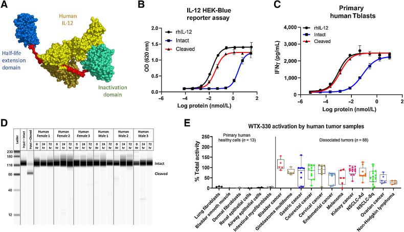 https://cdn.ncbi.nlm.nih.gov/pmc/blobs/4c5c/10320472/2b4e59fb3ce8/962fig6.jpg