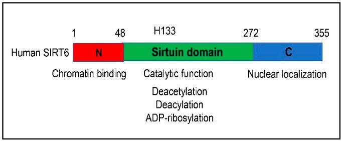 https://cdn.ncbi.nlm.nih.gov/pmc/blobs/4c74/9954390/5d648656d998/cells-12-00663-g001.jpg