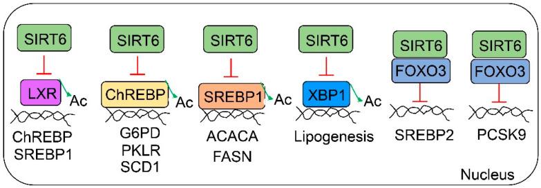https://cdn.ncbi.nlm.nih.gov/pmc/blobs/4c74/9954390/ea2fa56055d1/cells-12-00663-g003.jpg