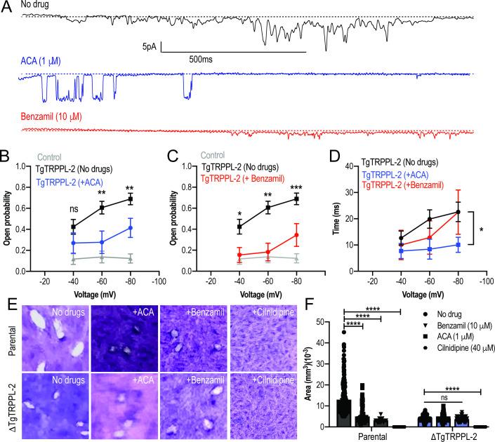 https://cdn.ncbi.nlm.nih.gov/pmc/blobs/4c87/8216714/58a28098202e/elife-63417-fig7.jpg