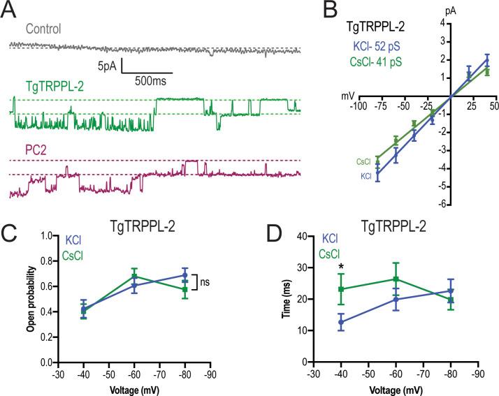 https://cdn.ncbi.nlm.nih.gov/pmc/blobs/4c87/8216714/c26d50524531/elife-63417-fig5.jpg