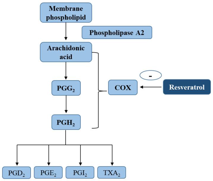 https://cdn.ncbi.nlm.nih.gov/pmc/blobs/4c8d/7796143/cb9da540805c/molecules-26-00229-g002.jpg