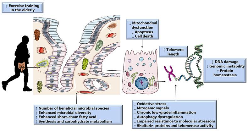 https://cdn.ncbi.nlm.nih.gov/pmc/blobs/4c9d/9266215/ac8d8b330110/ijerph-19-07810-g001.jpg