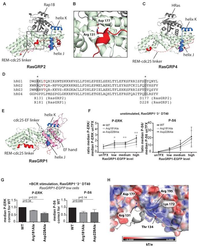 https://cdn.ncbi.nlm.nih.gov/pmc/blobs/4ca3/5643099/fc0a65260b52/elife-29002-fig6.jpg
