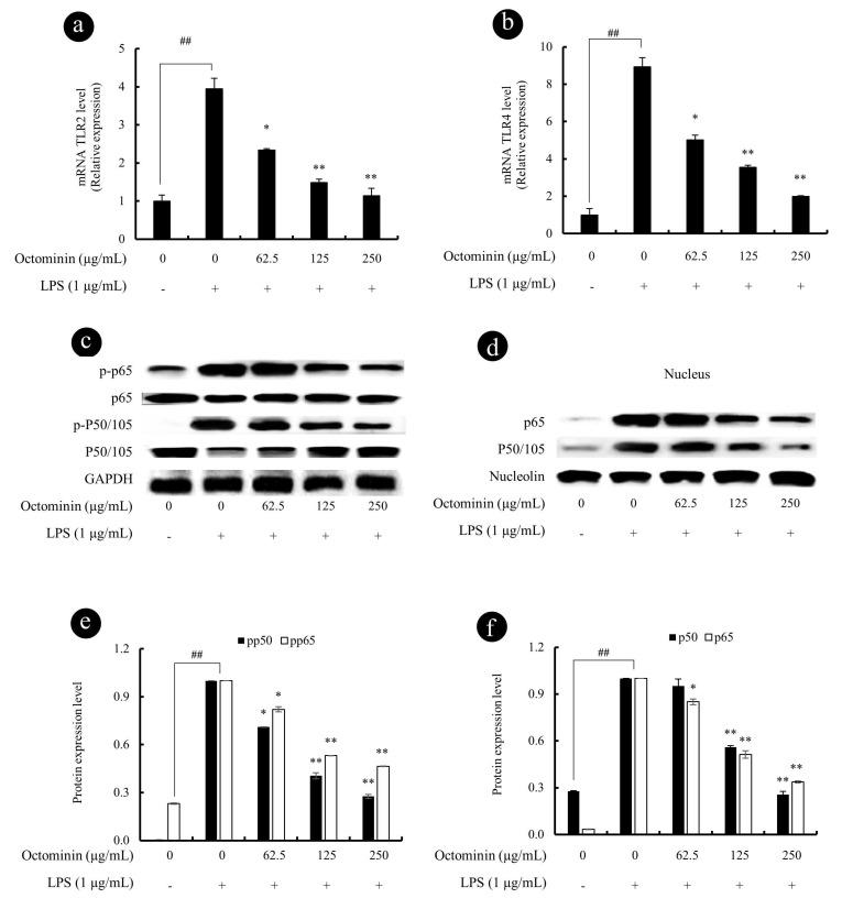 https://cdn.ncbi.nlm.nih.gov/pmc/blobs/4ca9/7226457/aabbdb96339b/biomolecules-10-00511-g006.jpg