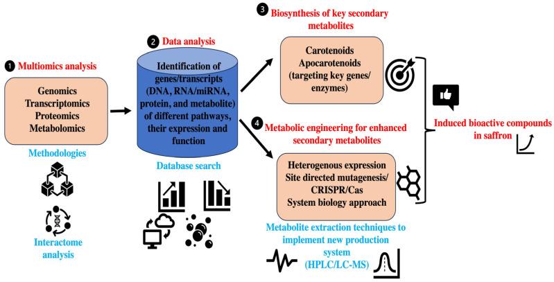 https://cdn.ncbi.nlm.nih.gov/pmc/blobs/4cb4/11174376/086986772a4e/plants-13-01467-g003.jpg