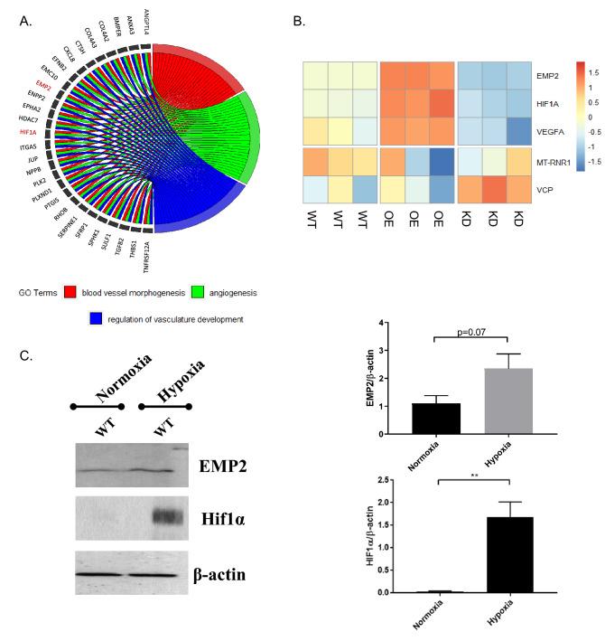 https://cdn.ncbi.nlm.nih.gov/pmc/blobs/4cb7/9653491/bbf79bcbd859/41598_2022_22696_Fig4_HTML.jpg