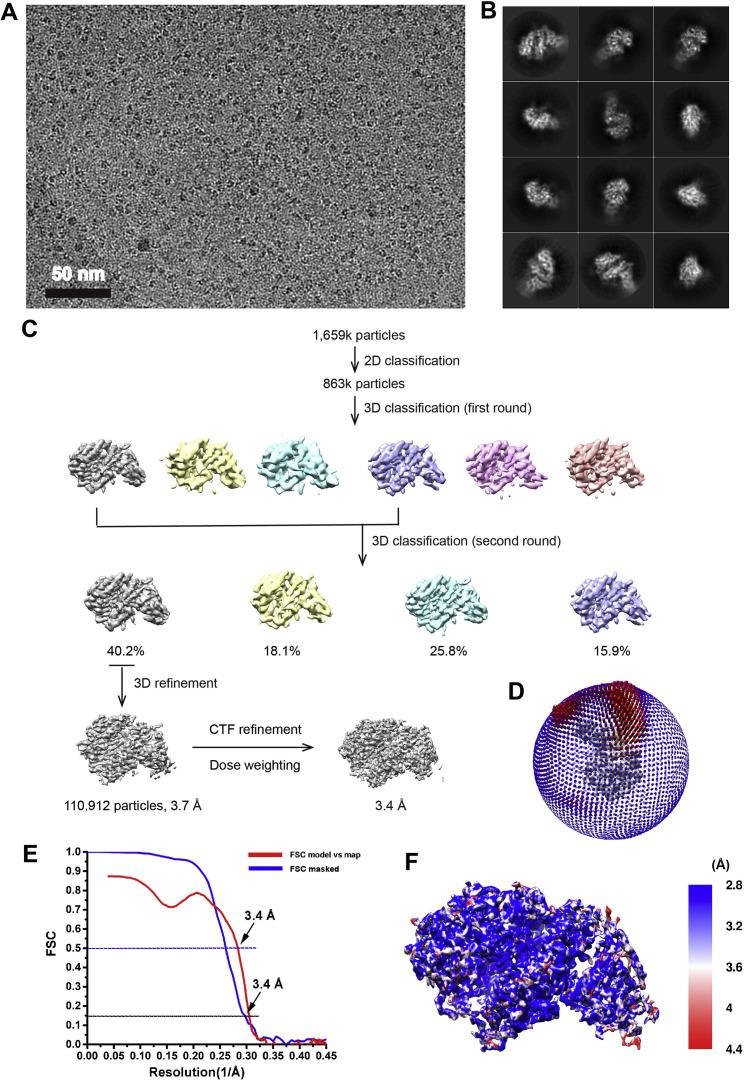 https://cdn.ncbi.nlm.nih.gov/pmc/blobs/4ccb/8733278/392d40a59750/figs3_lrg.jpg