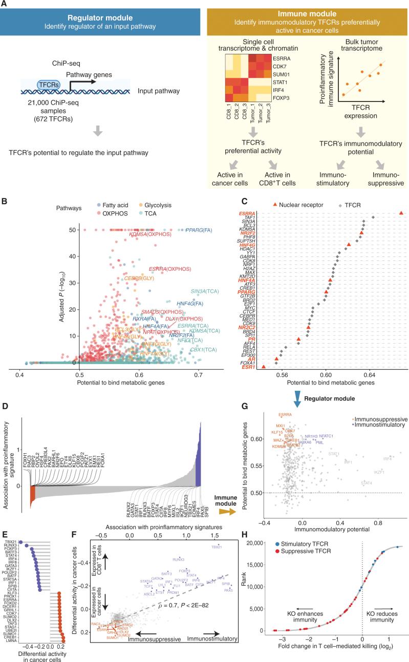 https://cdn.ncbi.nlm.nih.gov/pmc/blobs/4d0a/9975674/906d373e8a16/672fig1.jpg