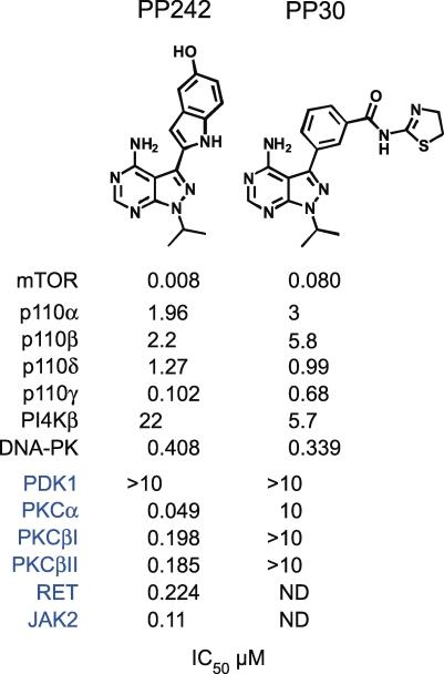 https://cdn.ncbi.nlm.nih.gov/pmc/blobs/4d2e/2652387/6b260ab5c7ef/pbio.1000038.g001.jpg