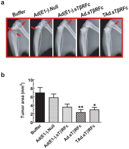 https://cdn.ncbi.nlm.nih.gov/pmc/blobs/4d35/3424293/56ada6513d87/nihms382286f5.jpg