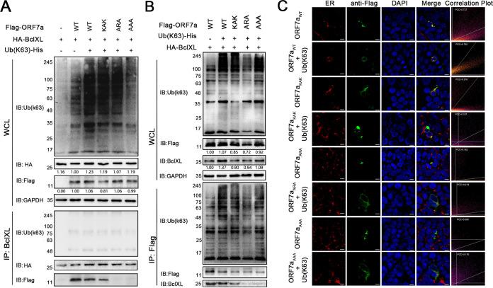 https://cdn.ncbi.nlm.nih.gov/pmc/blobs/4d65/9769937/6104ca7e42ed/spectrum.01509-22-f006.jpg