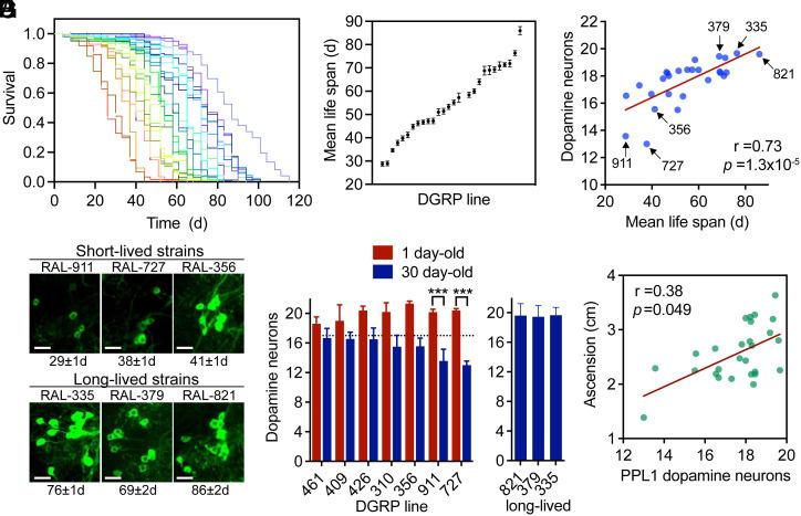https://cdn.ncbi.nlm.nih.gov/pmc/blobs/4d73/11494315/8800a2a88cf5/pnas.2403450121fig01.jpg