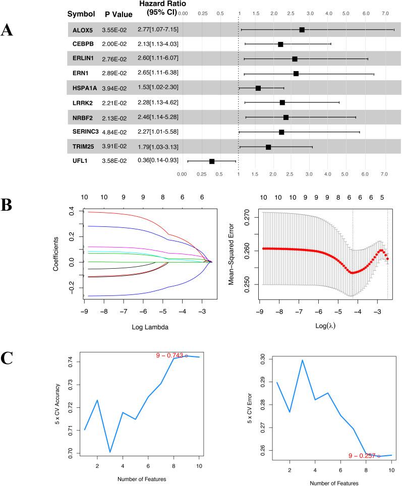 https://cdn.ncbi.nlm.nih.gov/pmc/blobs/4d8e/11627109/9739aa5d8c75/JIR-17-10495-g0004.jpg