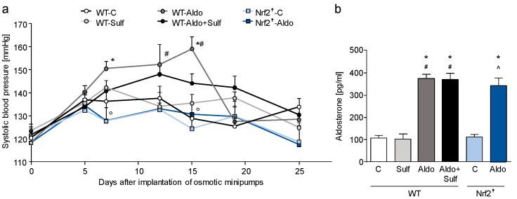 https://cdn.ncbi.nlm.nih.gov/pmc/blobs/4d99/10044832/54bf2f089e02/antioxidants-12-00777-g002.jpg