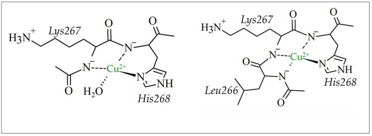 https://cdn.ncbi.nlm.nih.gov/pmc/blobs/4dac/11767661/fb39e28e540d/molecules-30-00363-ch003.jpg