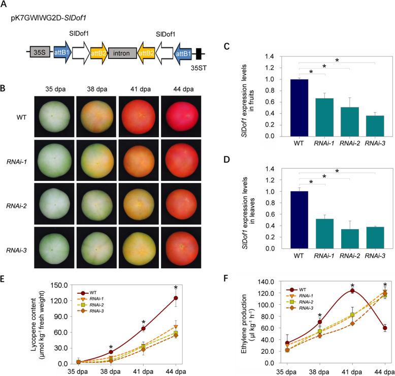 https://cdn.ncbi.nlm.nih.gov/pmc/blobs/4dae/10514982/14ca69e8d204/43897_2021_11_Fig2_HTML.jpg
