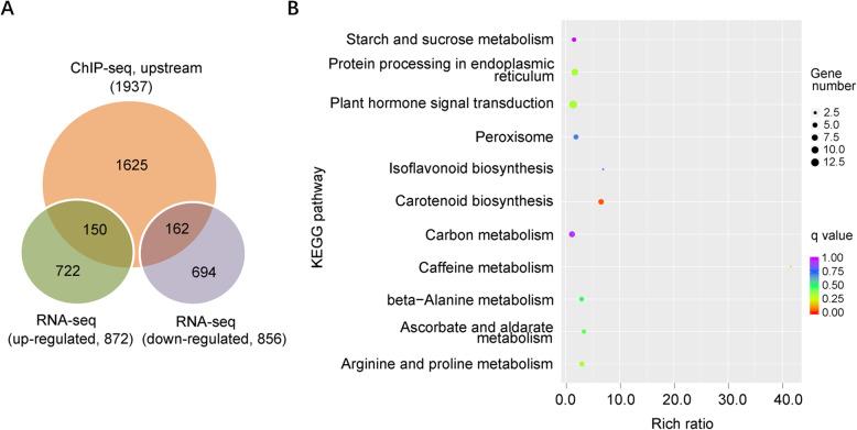 https://cdn.ncbi.nlm.nih.gov/pmc/blobs/4dae/10514982/b175736100f3/43897_2021_11_Fig5_HTML.jpg