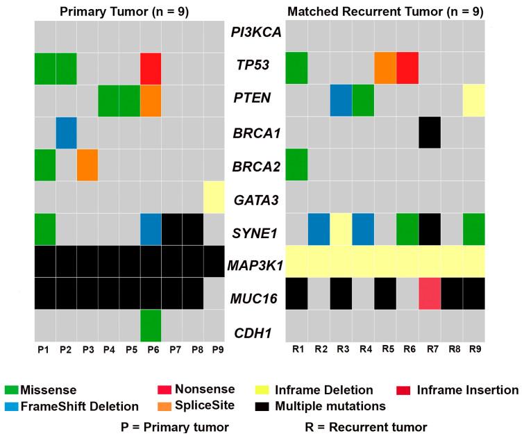https://cdn.ncbi.nlm.nih.gov/pmc/blobs/4dd6/10531222/3c517ab9a1b4/genes-14-01690-g002.jpg
