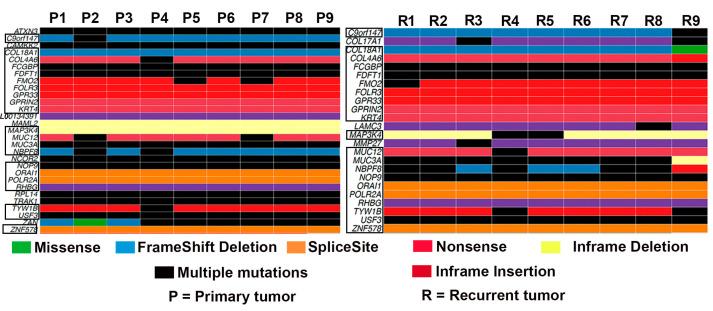 https://cdn.ncbi.nlm.nih.gov/pmc/blobs/4dd6/10531222/cbdd6f81aa04/genes-14-01690-g001.jpg